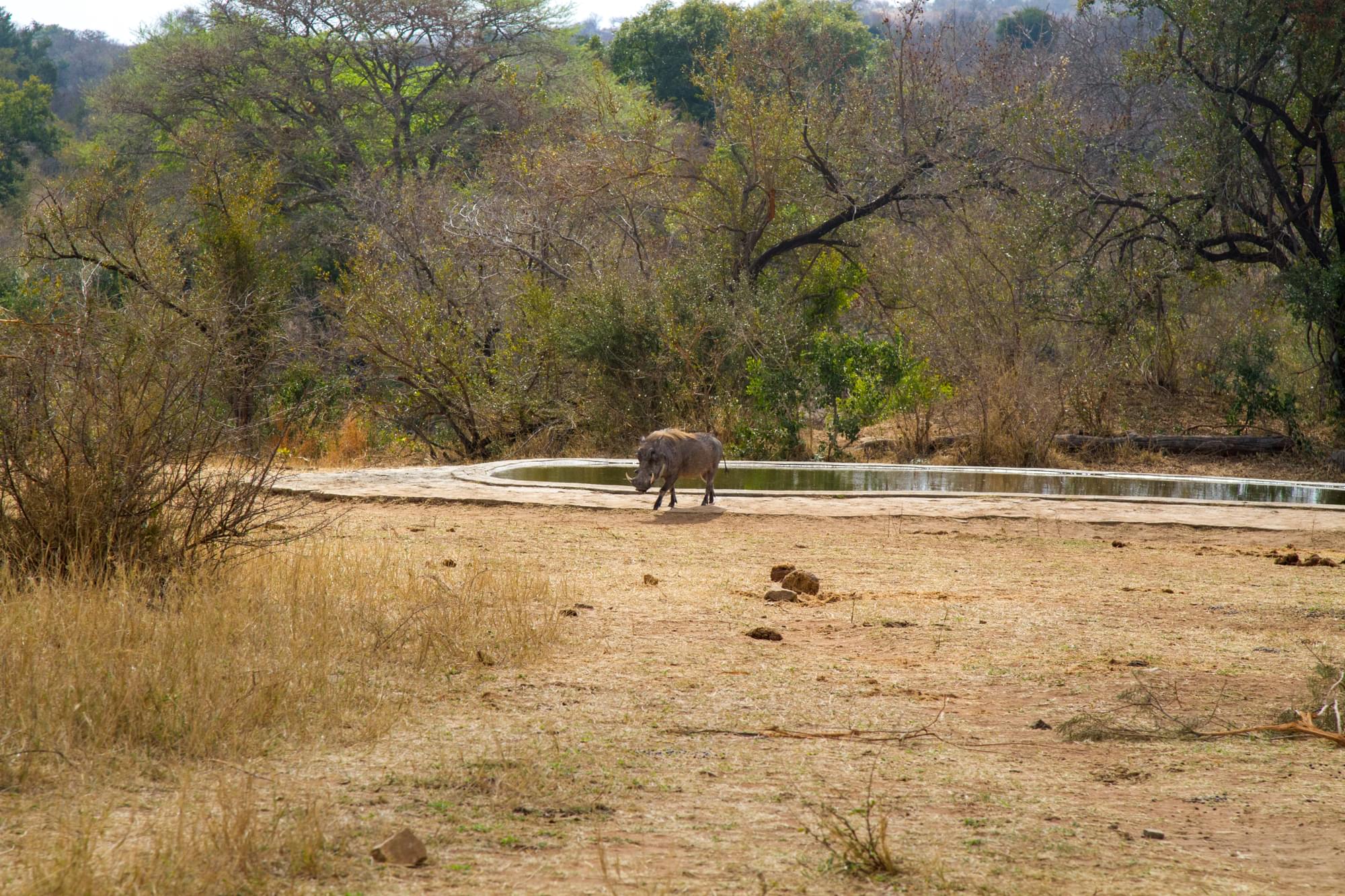 20120730   Sudafrica 0455